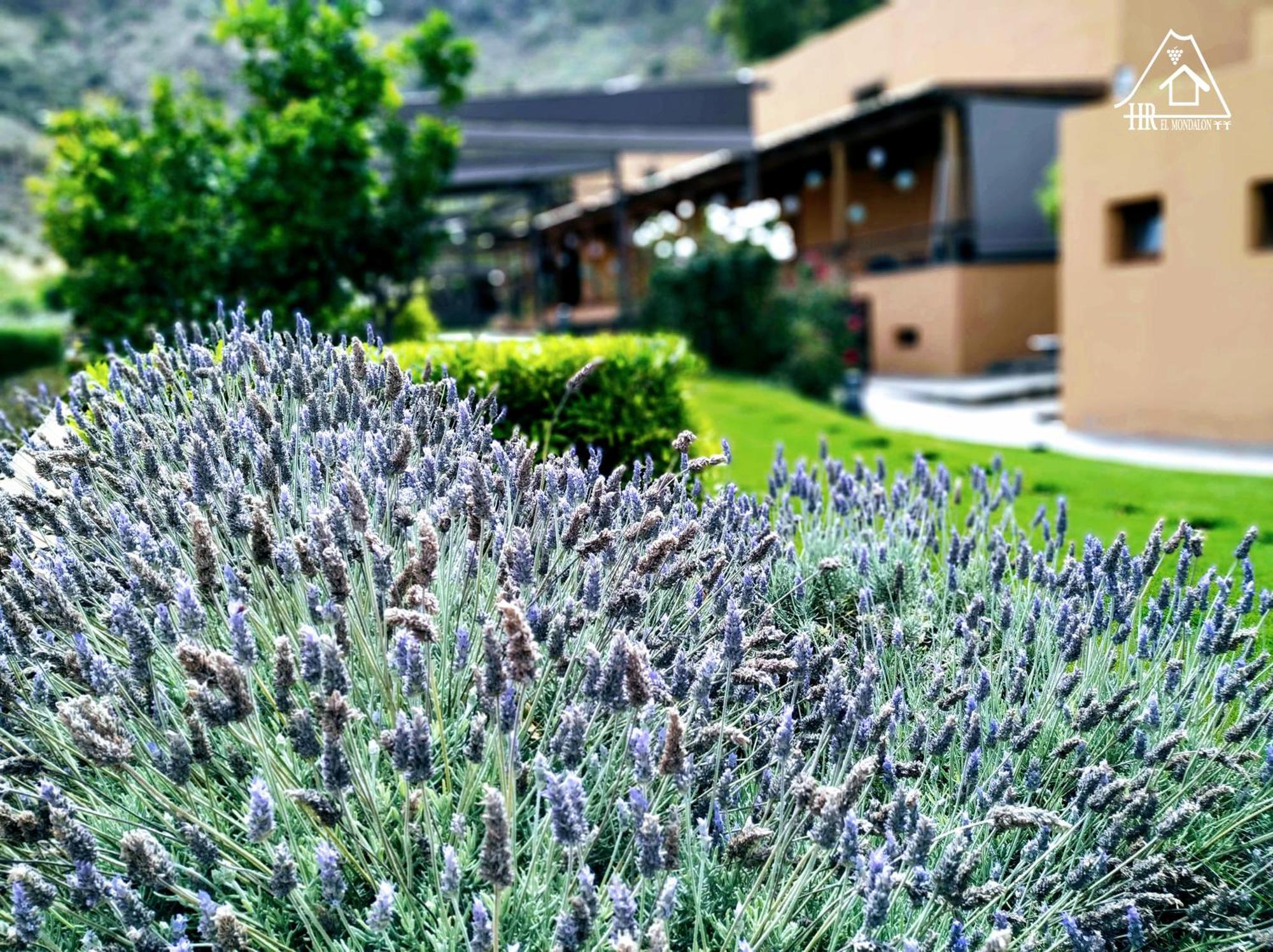 Hotel Rural El Mondalon Las Palmas de Gran Canaria Luaran gambar